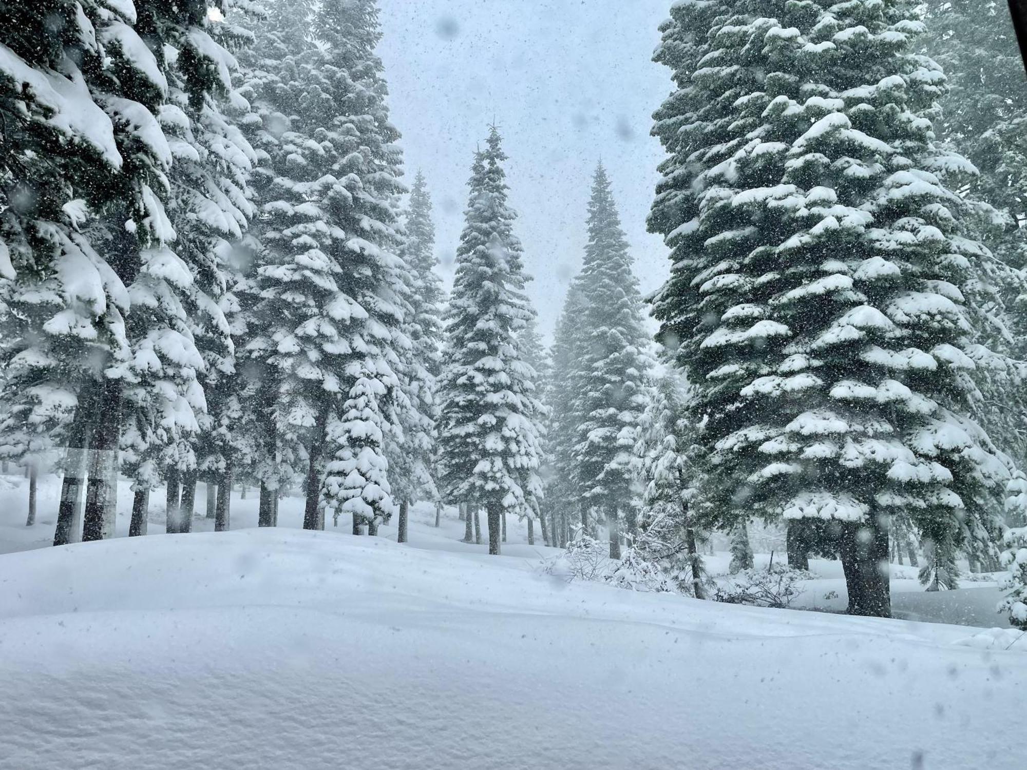 Bear Meadows Lodge - Hot Tub - Tahoe Donner Home Truckee Bagian luar foto